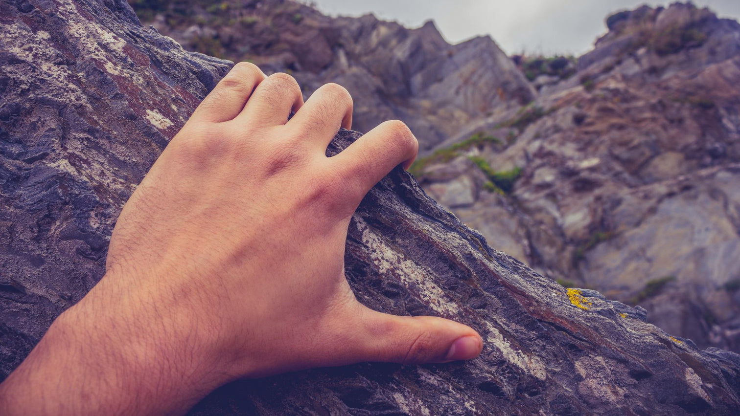 PPP #72: What happens next?